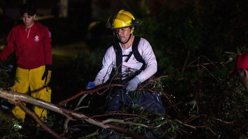 Bomberos GDL árboles caídos (4).jpeg